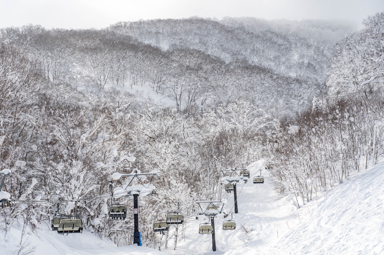 ルスツリゾート　2日間の吹雪の後の青空。たっぷり新雪が降り積もった樹氷林の中を滑る！